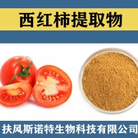 西紅柿提取物 水溶性西紅柿粉 果蔬粉 西紅柿速溶粉