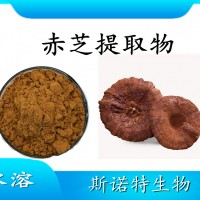 赤芝提取物 水溶性噴霧干燥粉 斯諾特工廠生產(chǎn) 可提供小樣