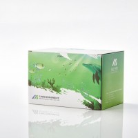 美正生物硼砂快速檢測試劑