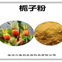 梔子濃縮粉 梔子粉 生產廠家