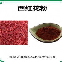 西紅花濃縮粉 西紅花粉 生產廠家
