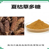 夏枯草提取物 夏枯草多糖 廠家發貨 可定制