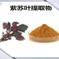 紫蘇葉提取物 紫蘇葉粉 可定制生產 藥食同源