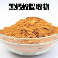 黑螞蟻提取物 萃取濃縮粉 多種規(guī)格 黑螞蟻粉