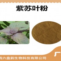 紫蘇葉速溶粉 紫蘇葉粉 廠家發貨