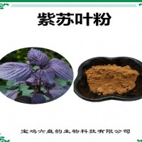 紫蘇葉濃縮粉 紫蘇葉粉 生產廠家