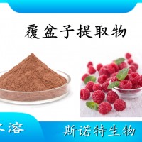 覆盆子提取物 水溶性噴霧干燥粉 斯諾特工廠生產 可提供小樣