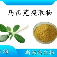 馬齒莧提取物 噴霧干燥粉 全水溶 斯諾特工廠資質齊全可試樣