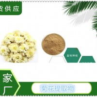菊花提取物現(xiàn)貨供應