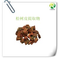 松樹皮提取原花青素含量95%供應