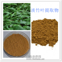 淡竹葉粉 淡竹葉提取物廠家