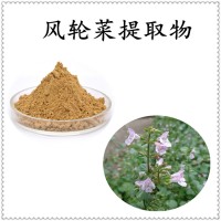 風輪菜提取物 全水溶粉末 斯諾特工廠生產 現貨包郵