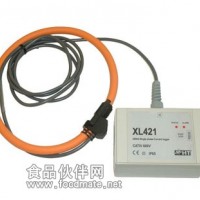 XL421單相電流數據記錄儀