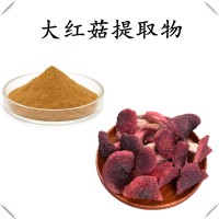 大紅菇提取物 水溶性噴霧干燥粉末 工廠直發(fā) 量大從優(yōu)