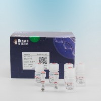BeaverBeads抗體純化磁珠1ml 20102