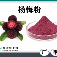 楊梅粉 楊梅速溶粉 噴霧干燥 水溶性楊梅濃縮粉