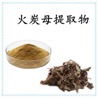 火炭母提取物 全水溶火炭母粉 斯諾特工廠 庫存充足