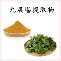九層塔提取物 全水溶噴霧干燥粉 斯諾特工廠 庫存充足 可試樣