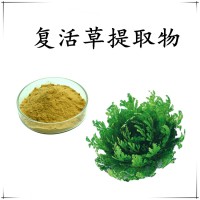 復(fù)活草提取物 全水溶噴霧干燥粉 斯諾特工廠 庫存充足 可試樣
