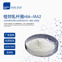 植物乳桿菌MA2高性價比高活性供應(yīng)