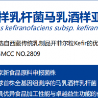 新食品資源原料腦健康馬乳酒樣乳桿菌ZW3供應(yīng)