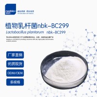 獨有菌株植物乳桿菌BC299 益生菌 活菌滅活菌 抗幽供應(yīng)
