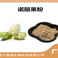 諾麗果濃縮粉 諾麗果粉 比例提取可定制 植物萃取原料