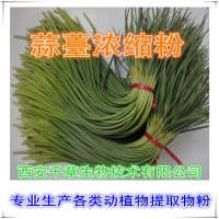 蒜薹提取物 蒜薹濃縮粉 供應(yīng)提取物定做流浸膏