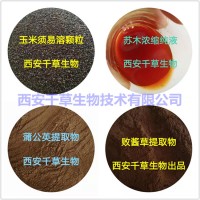 原味芹菜汁粉原味芹菜濃縮粉供應提取物 定做芹菜浸膏