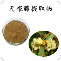 無根藤提取物 水溶性菟絲子粉 長期供應 資質全 可試樣