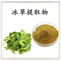 冰草提取物 水溶性好 質(zhì)量穩(wěn)定 隨貨帶檢測(cè)報(bào)告 免費(fèi)寄樣
