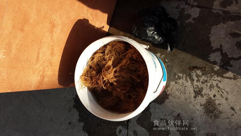 小球藻細(xì)胞破壁研磨均質(zhì)機(jī)