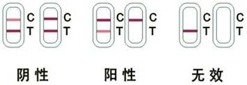 氯霉素檢測卡