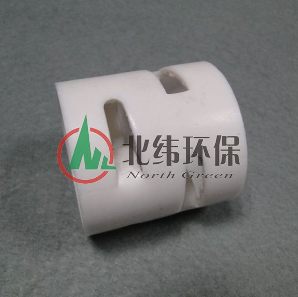 四氟鮑爾環 (2)