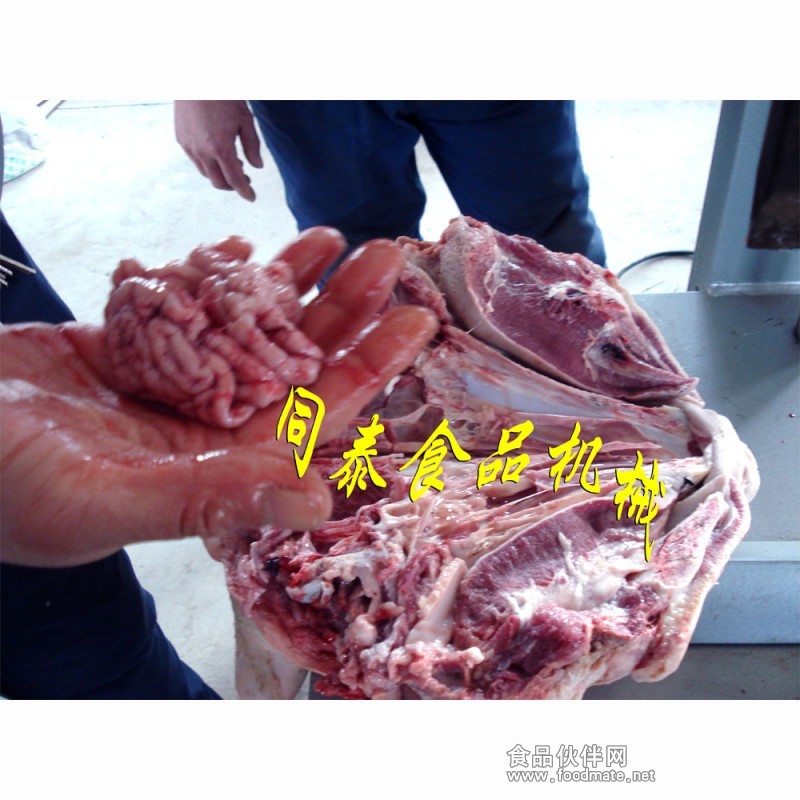 取豬腦1