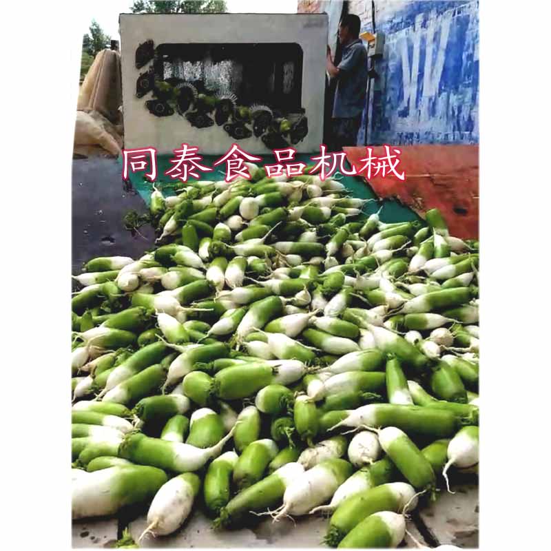 青蘿卜清洗機5