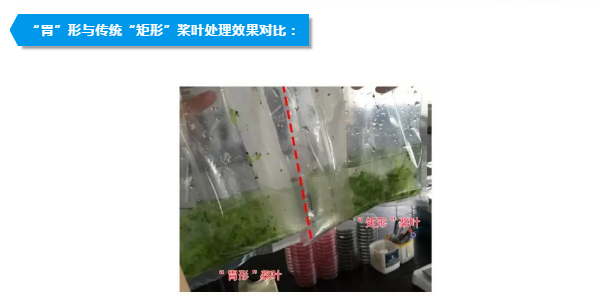 圖片4