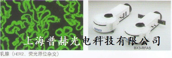 BX53 熒光觀察
