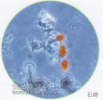 BX43 觀察部件