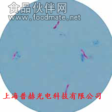 現(xiàn)場測試的瘧疾