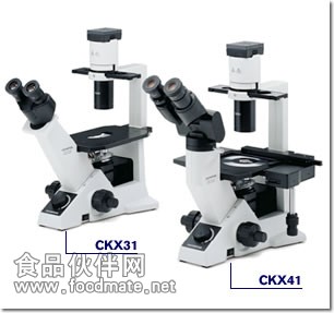 CKX31顯微鏡