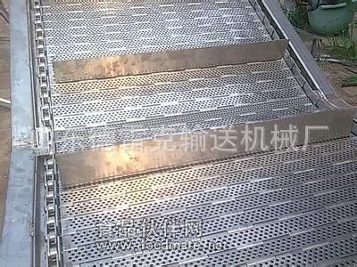 清洗蔬菜水果的不銹鋼鏈板