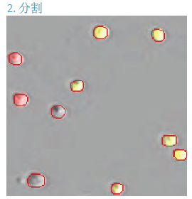 QQ圖片20200805153804.png