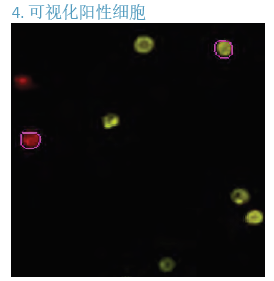 QQ圖片20200805153834.png