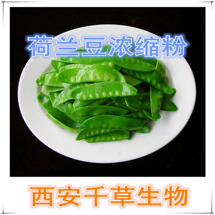 荷蘭豆?jié)饪s粉
