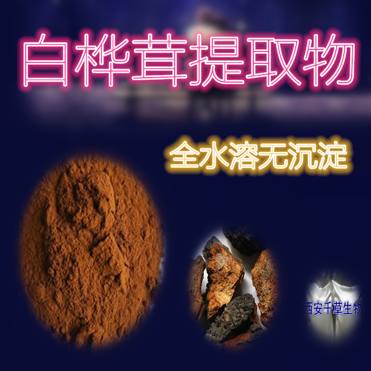 白樺茸提取物11