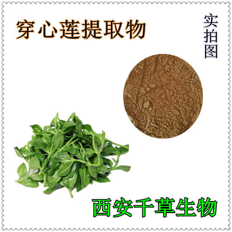 穿心蓮提取物