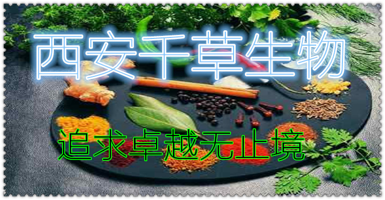 新6