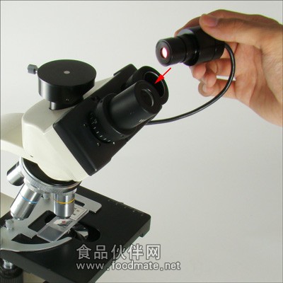 AM423數碼目鏡(USB)