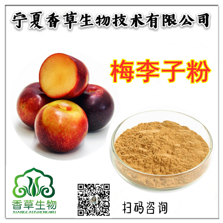 梅李子粉
